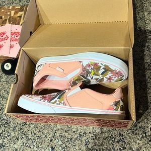 NEVER WORN vans (Asher Deluxe)